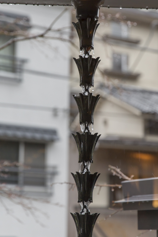 _J0A6635.jpg
