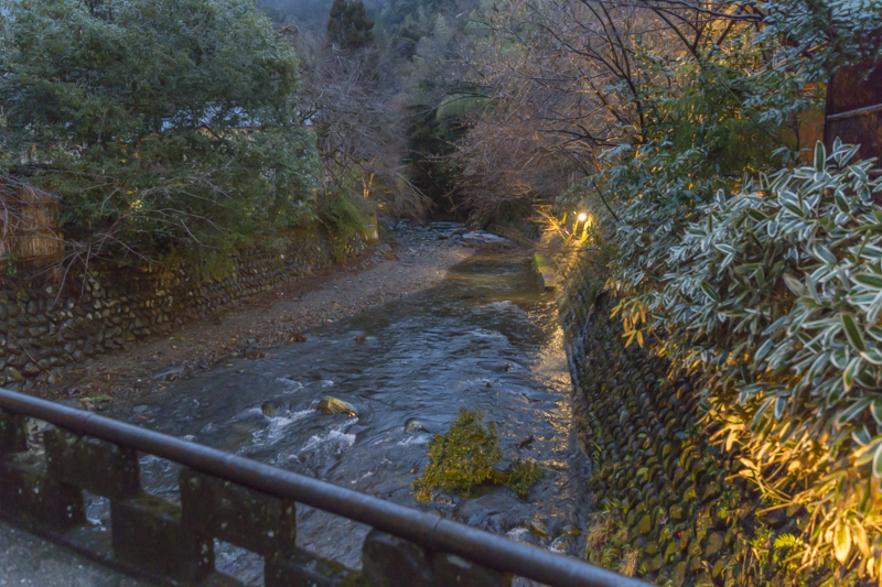 _J0A6804.jpg