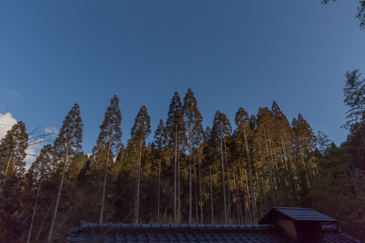 _J0A6162.jpg