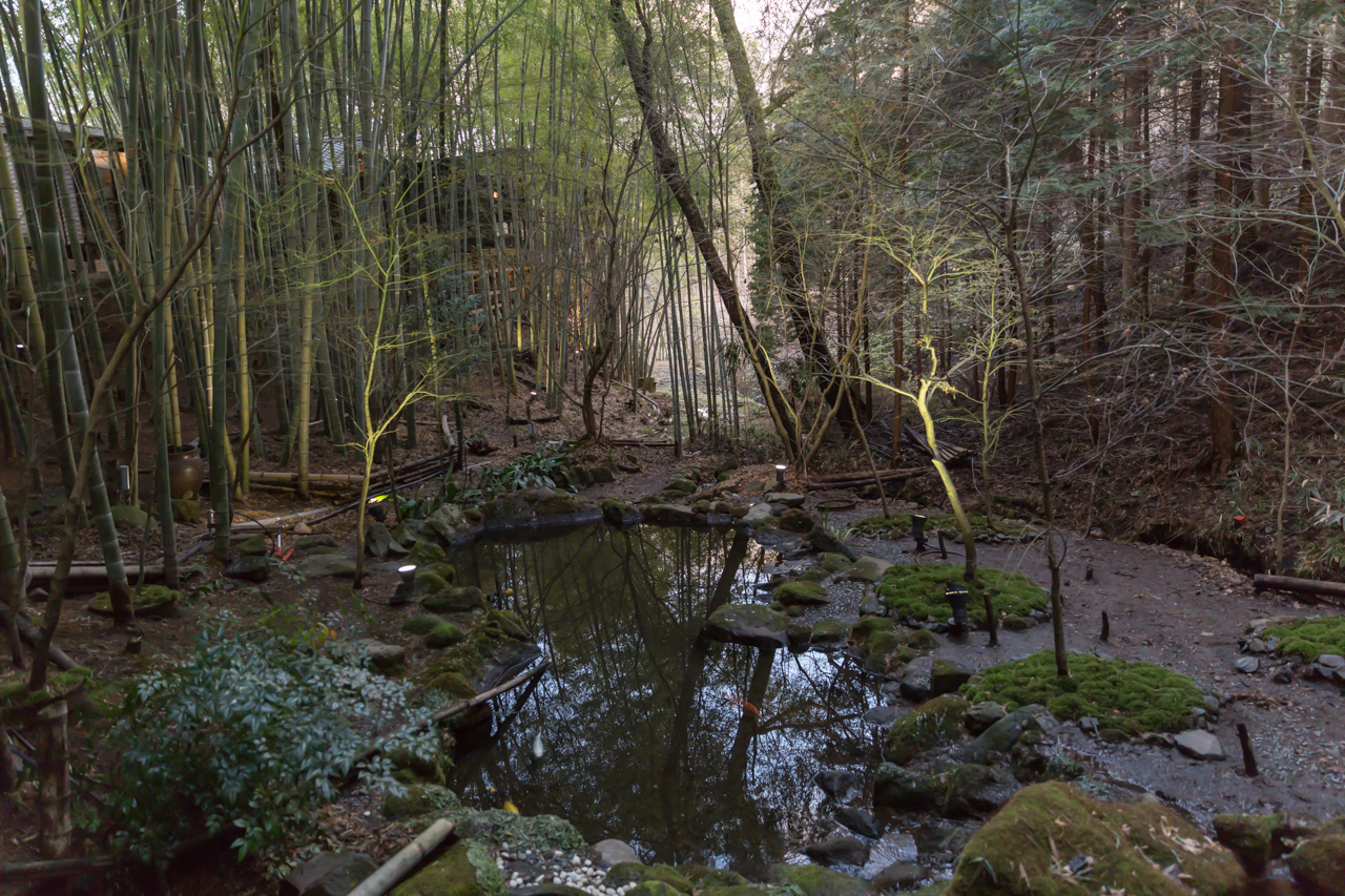 _J0A6456.jpg