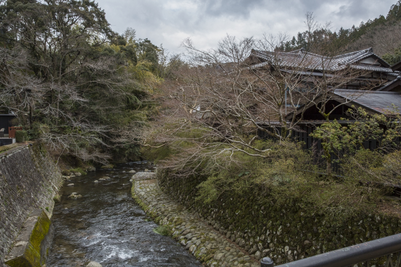 _J0A7203.jpg