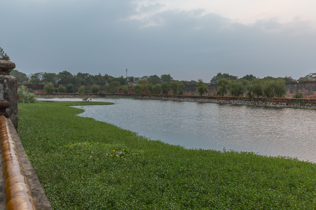 _J0A3986.jpg