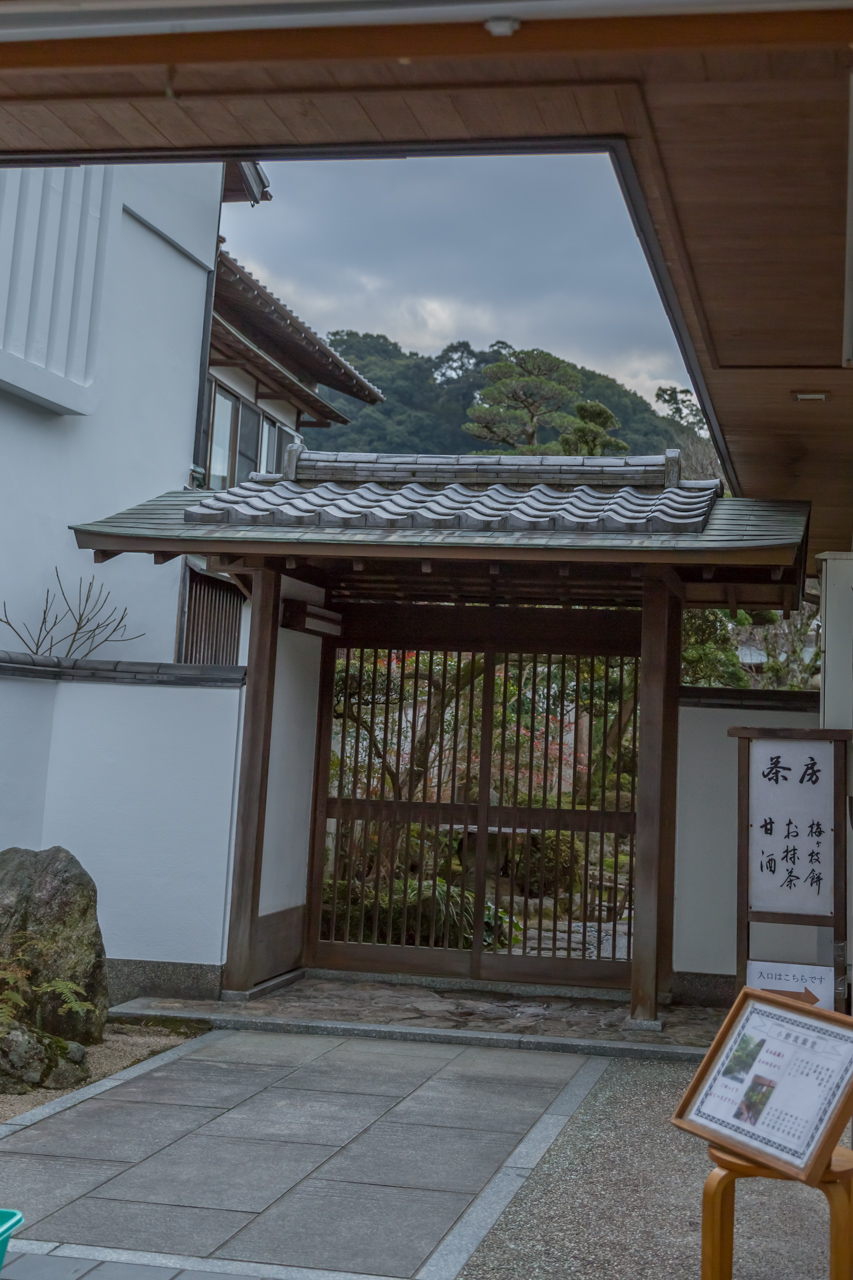 _J0A6964.jpg