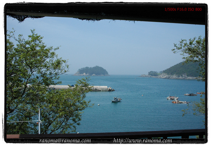 DSC_2323.jpg DSC_2323.jpg