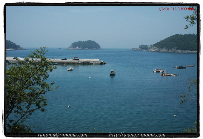 DSC_2328.jpg DSC_2328.jpg