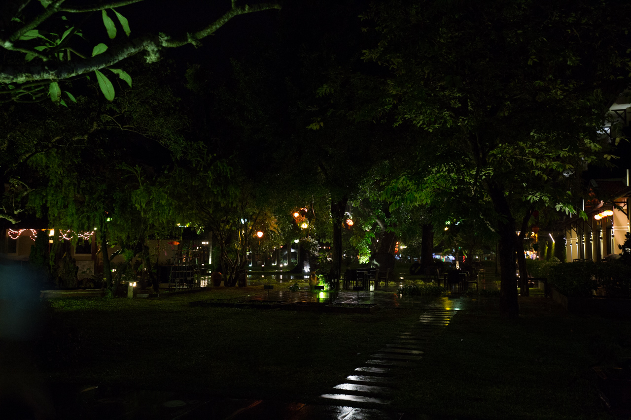 _J0A4498.jpg