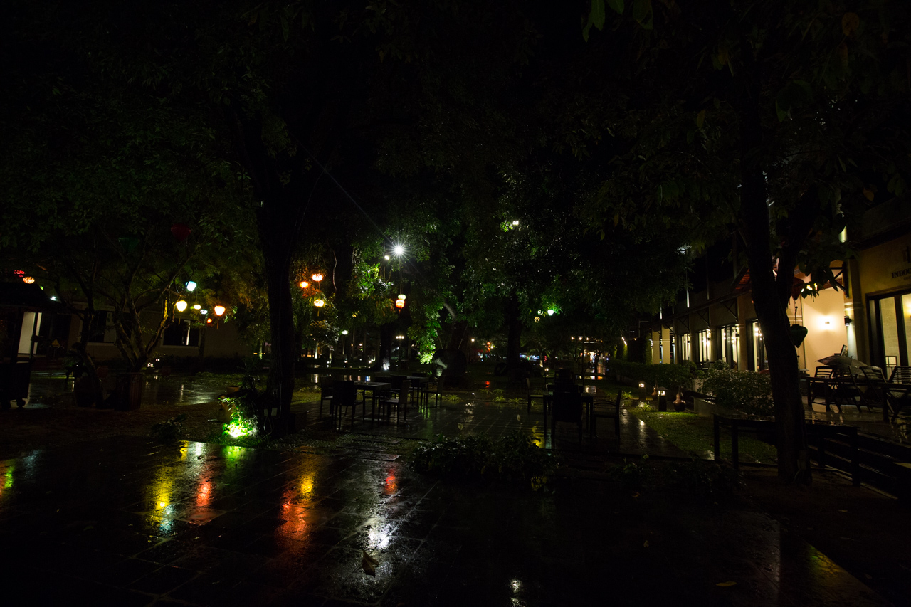 _J0A4501.jpg