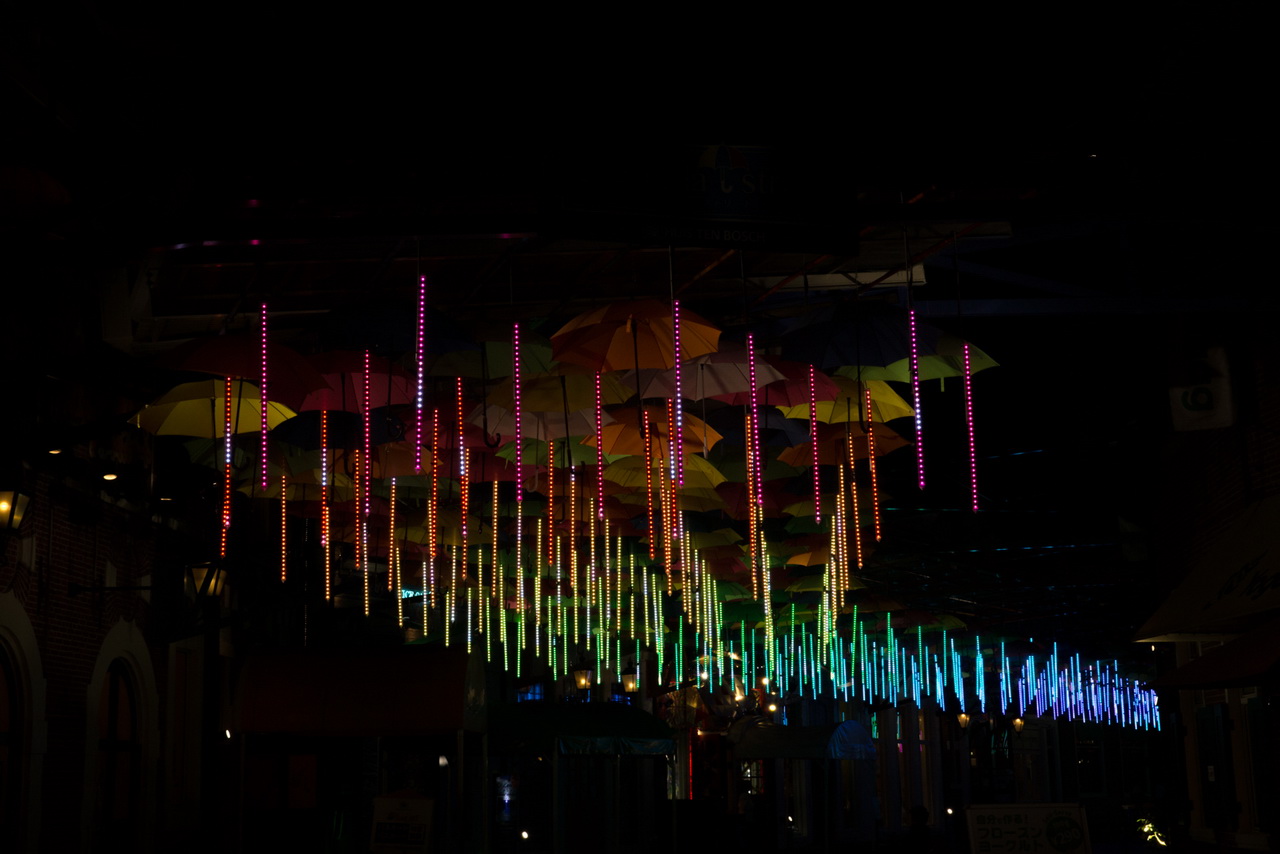 _J0A09176.jpg