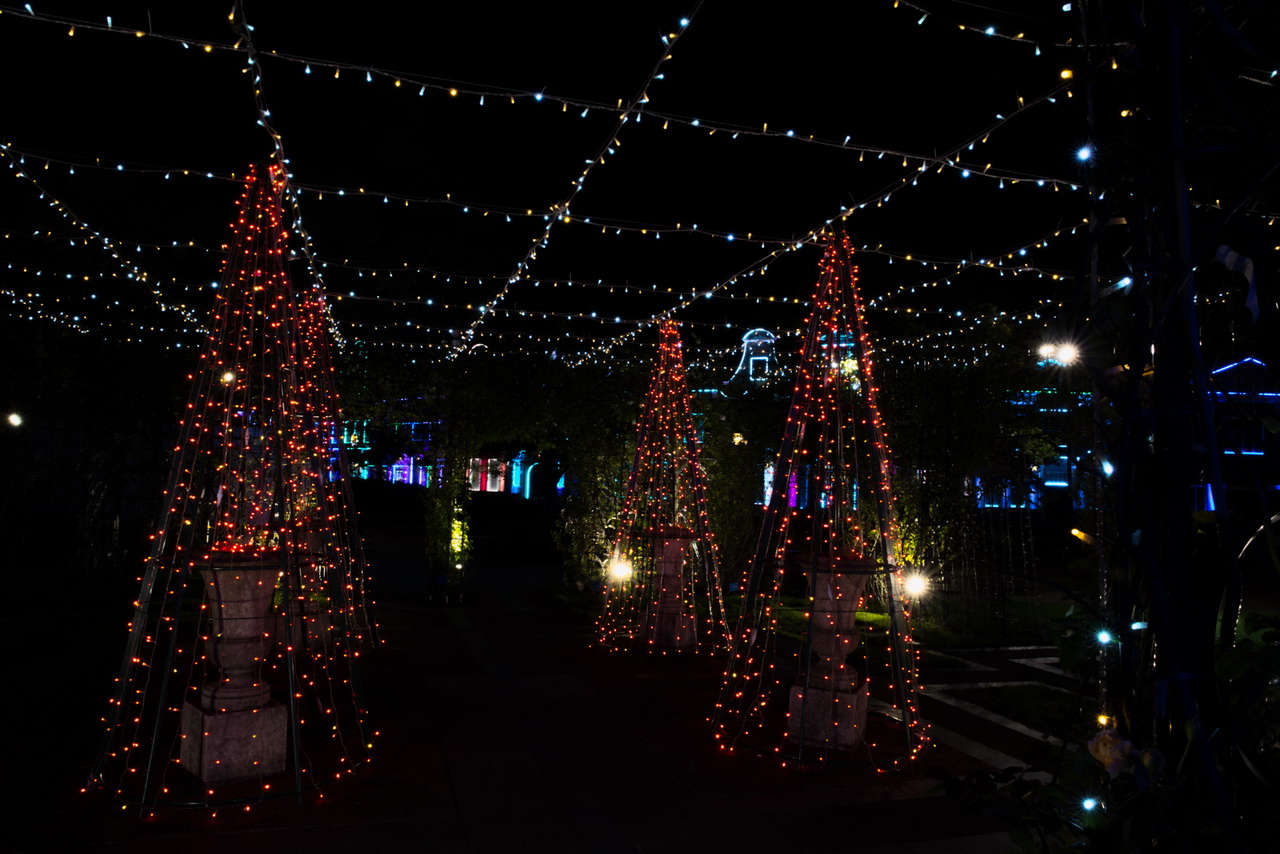 _J0A09329.jpg