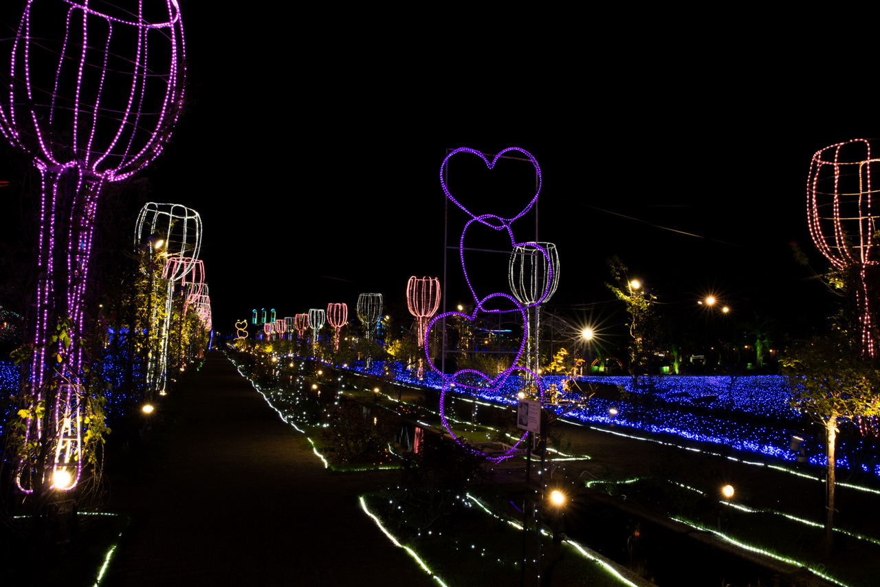 _J0A09304.jpg