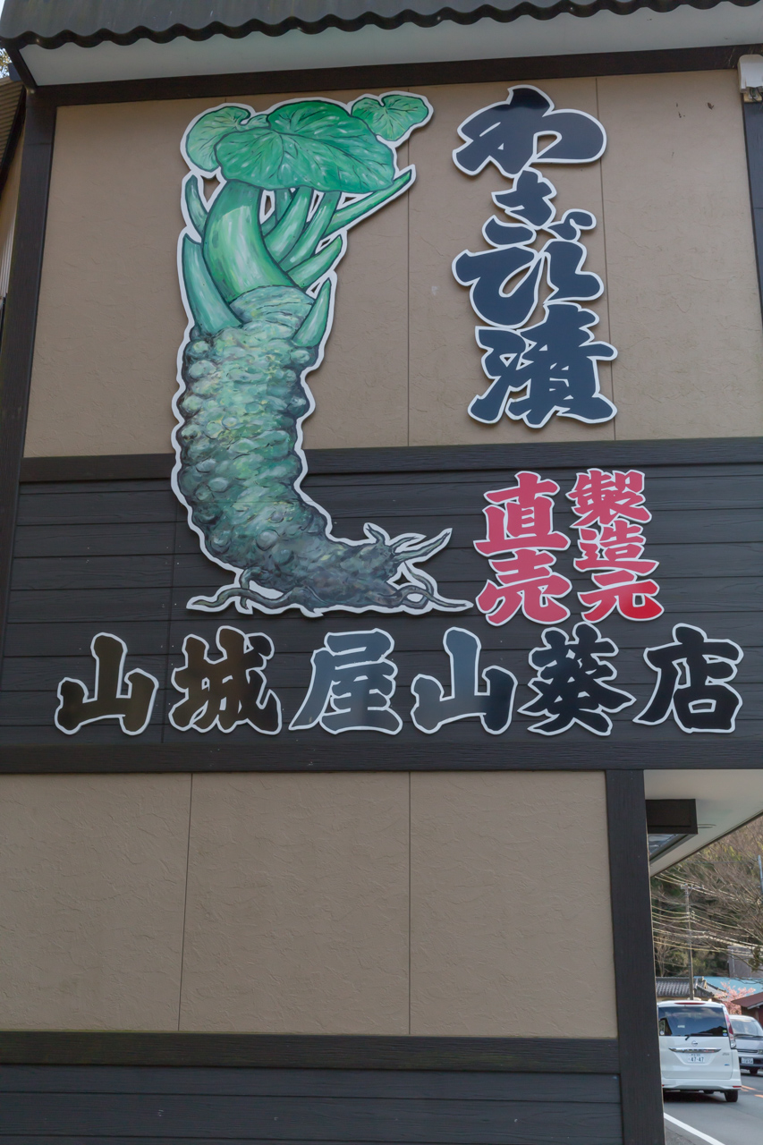 _J0A7452.jpg