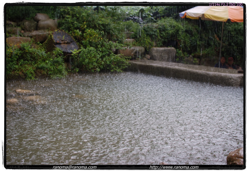 DSCF4487.jpg