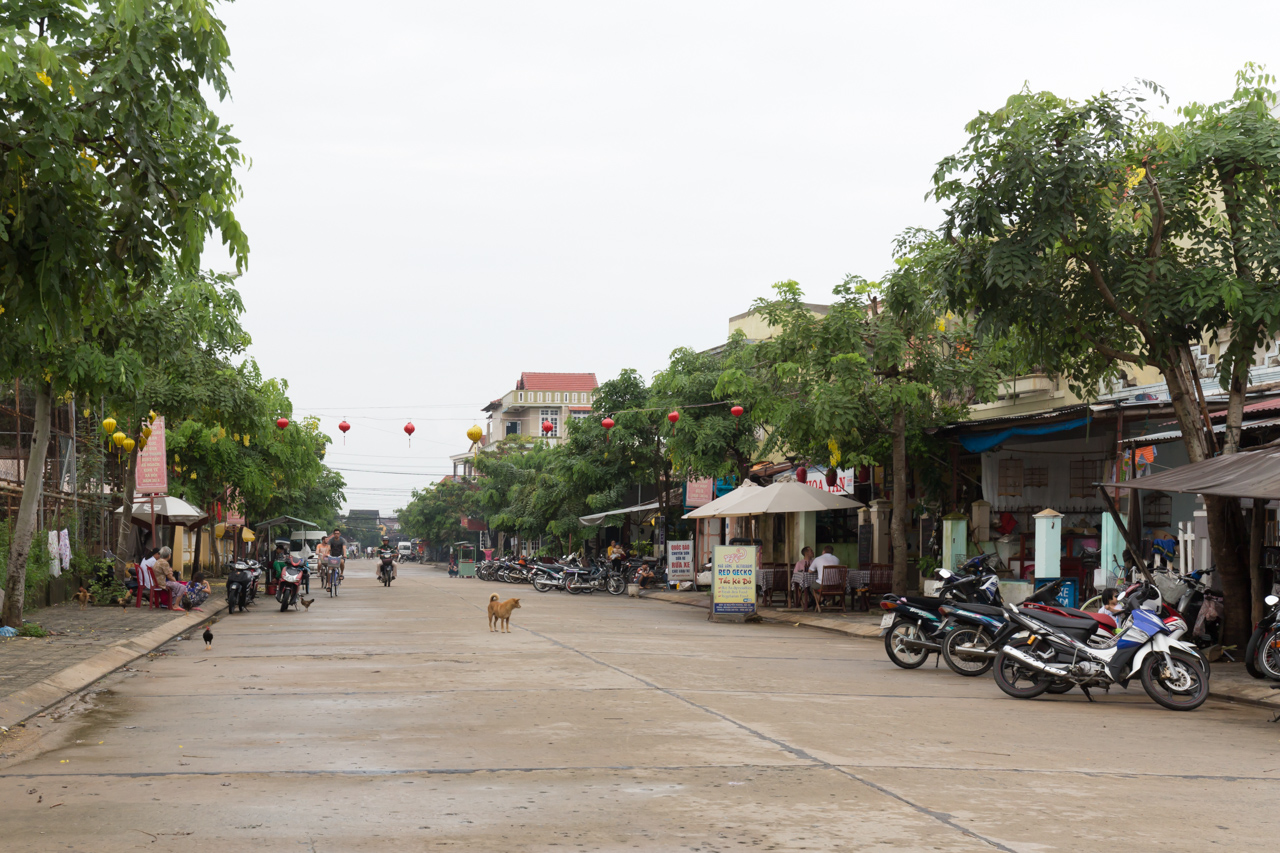 _J0A4883.jpg