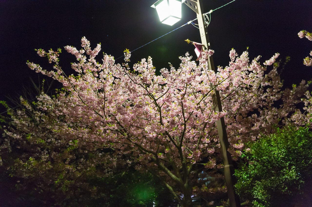 _J0A7688.jpg