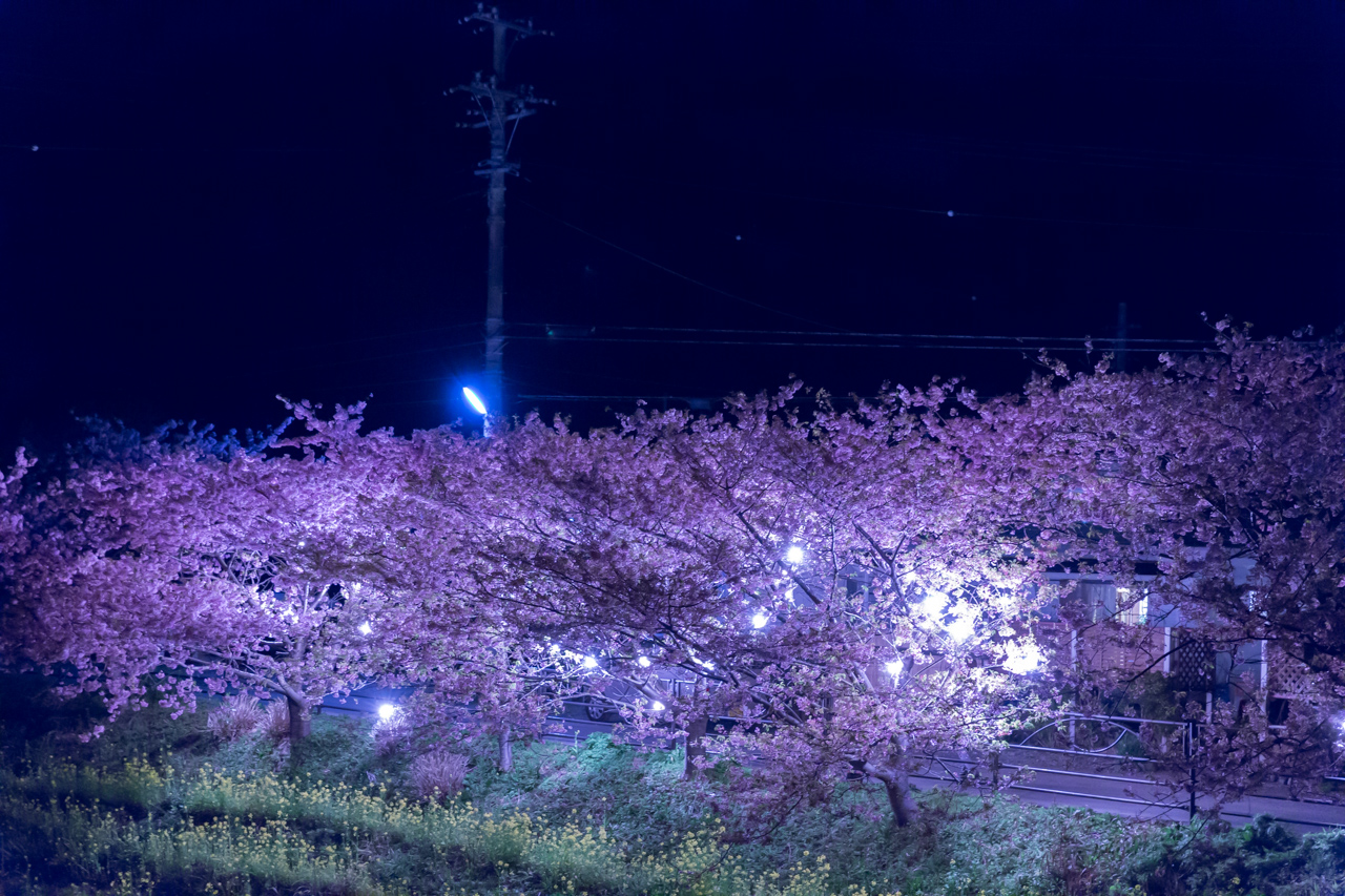 _J0A7691.jpg