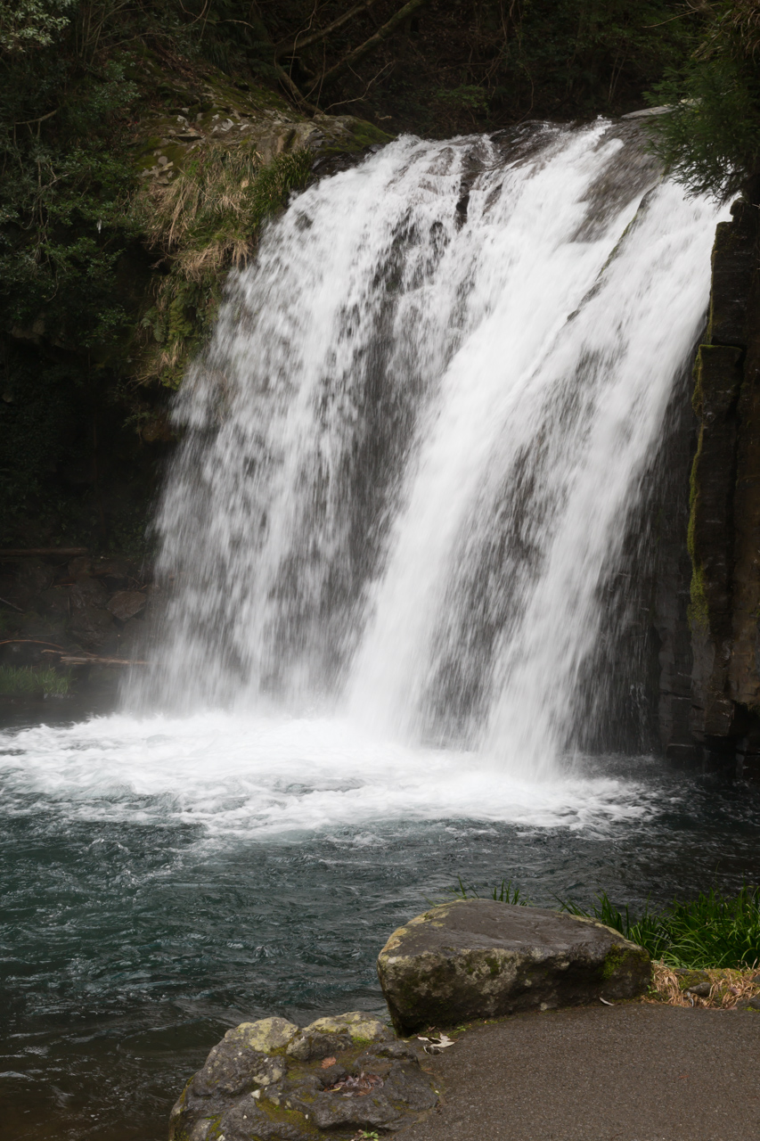_J0A7815.jpg