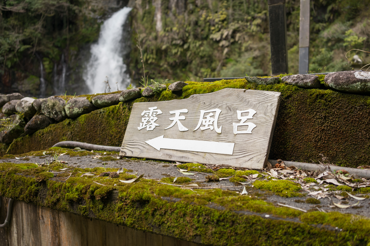DSC08303.jpg