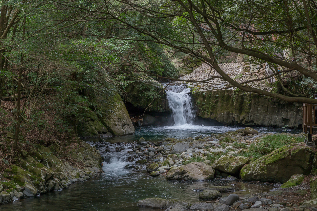 _J0A7817.jpg