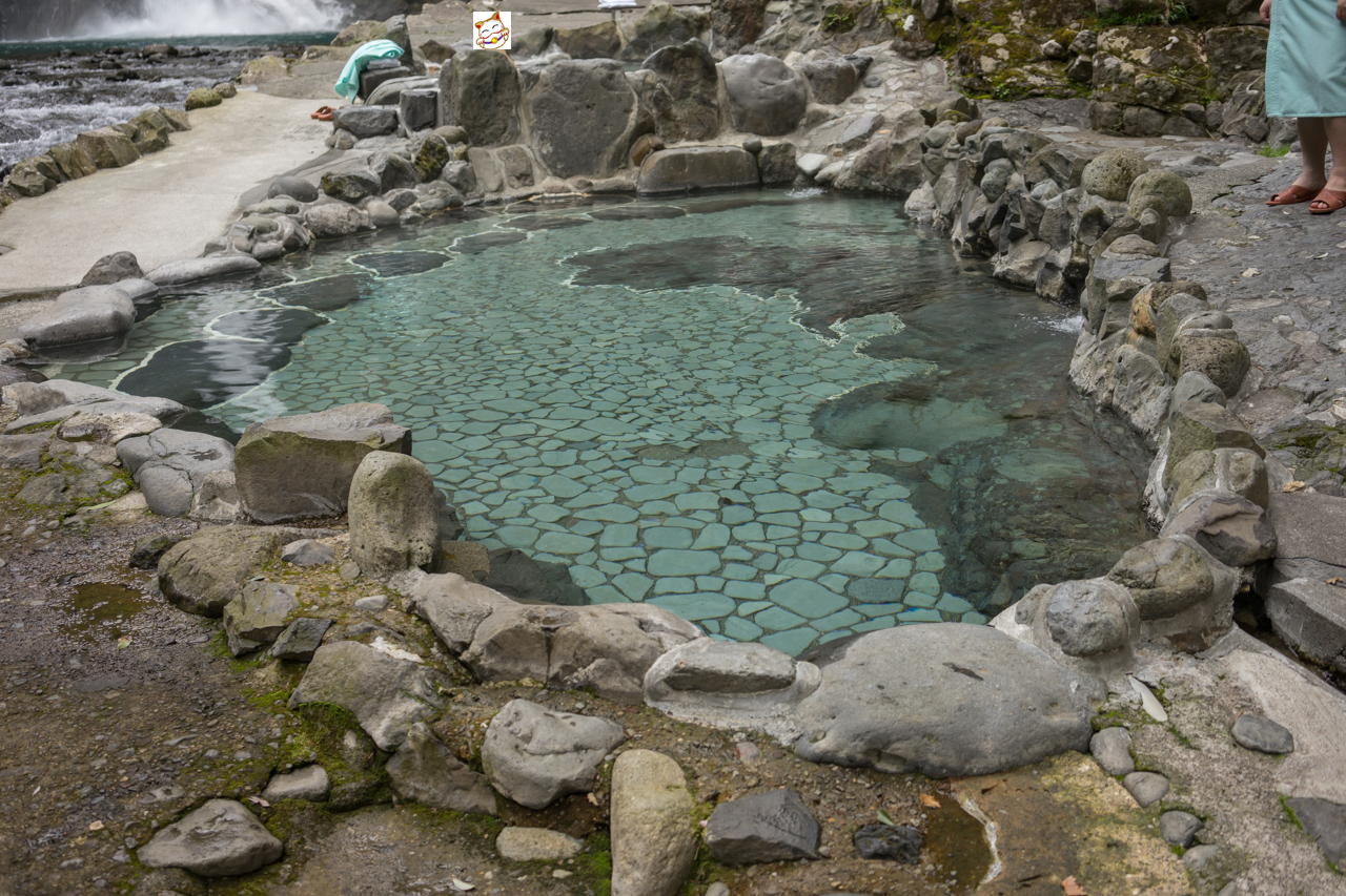 DSC08310.jpg