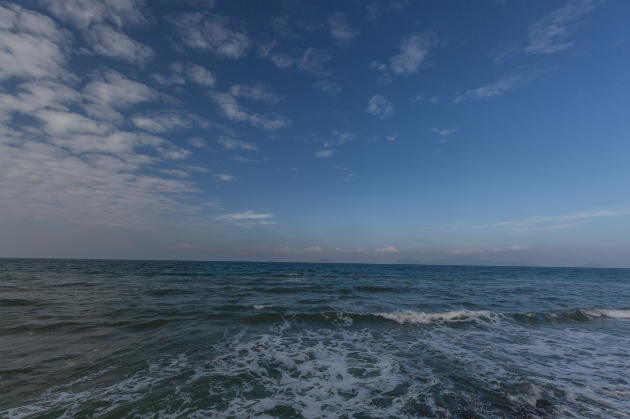 _J0A5174.jpg