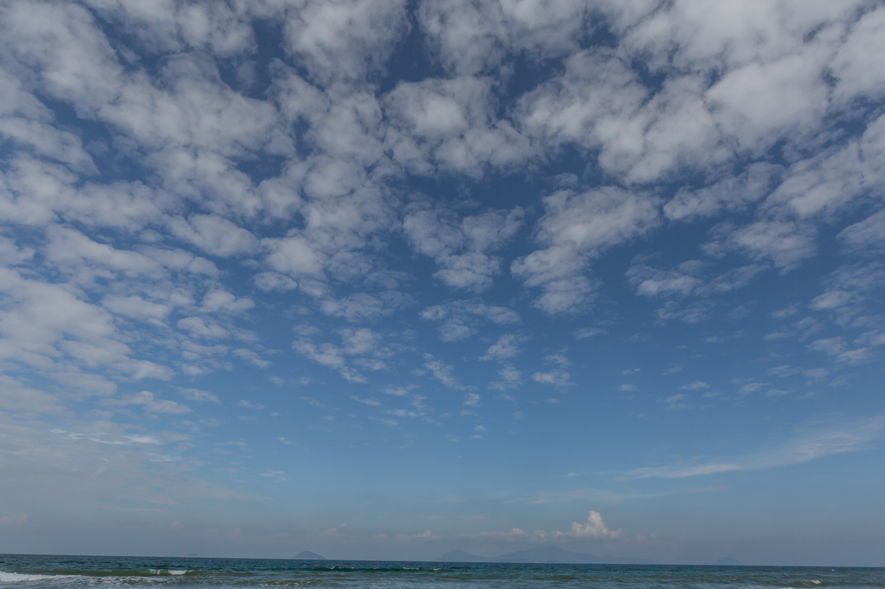 _J0A5159.jpg