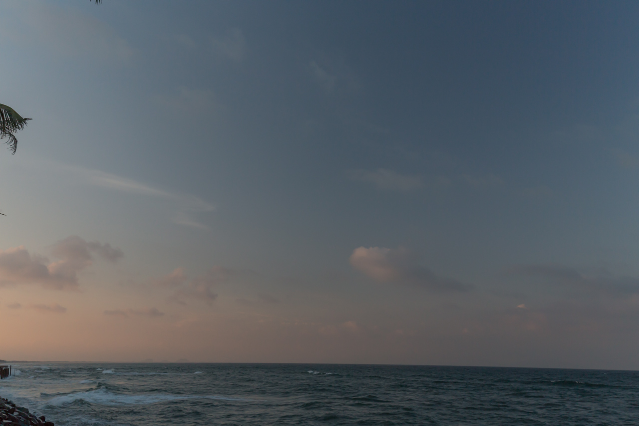 _J0A5233.jpg