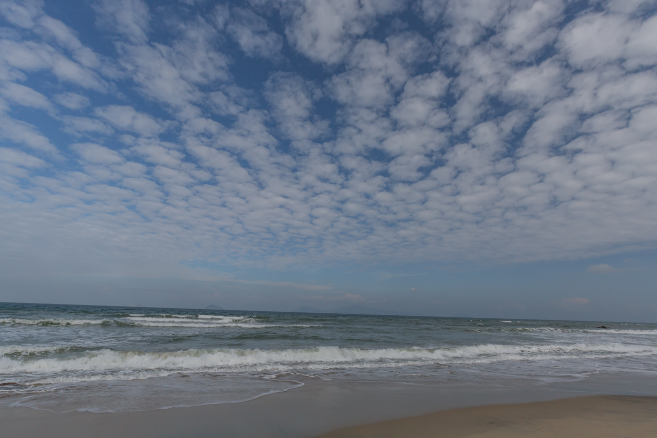 _J0A5144.jpg