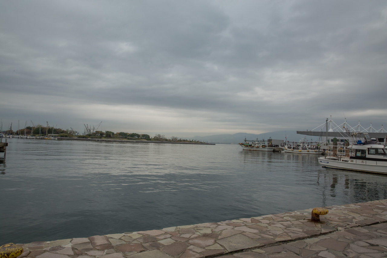 _J0A6286.jpg