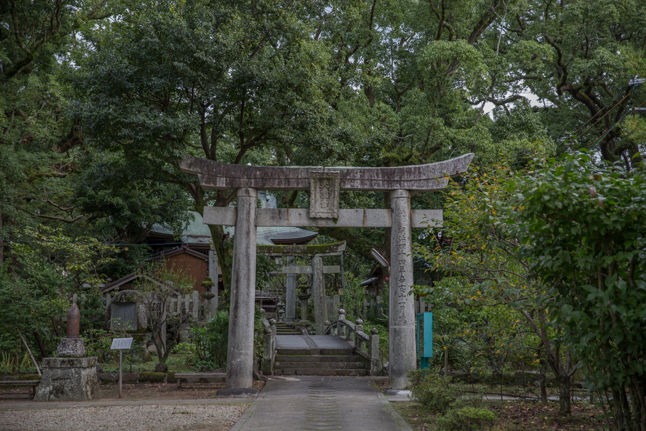 _J0A10813.jpg