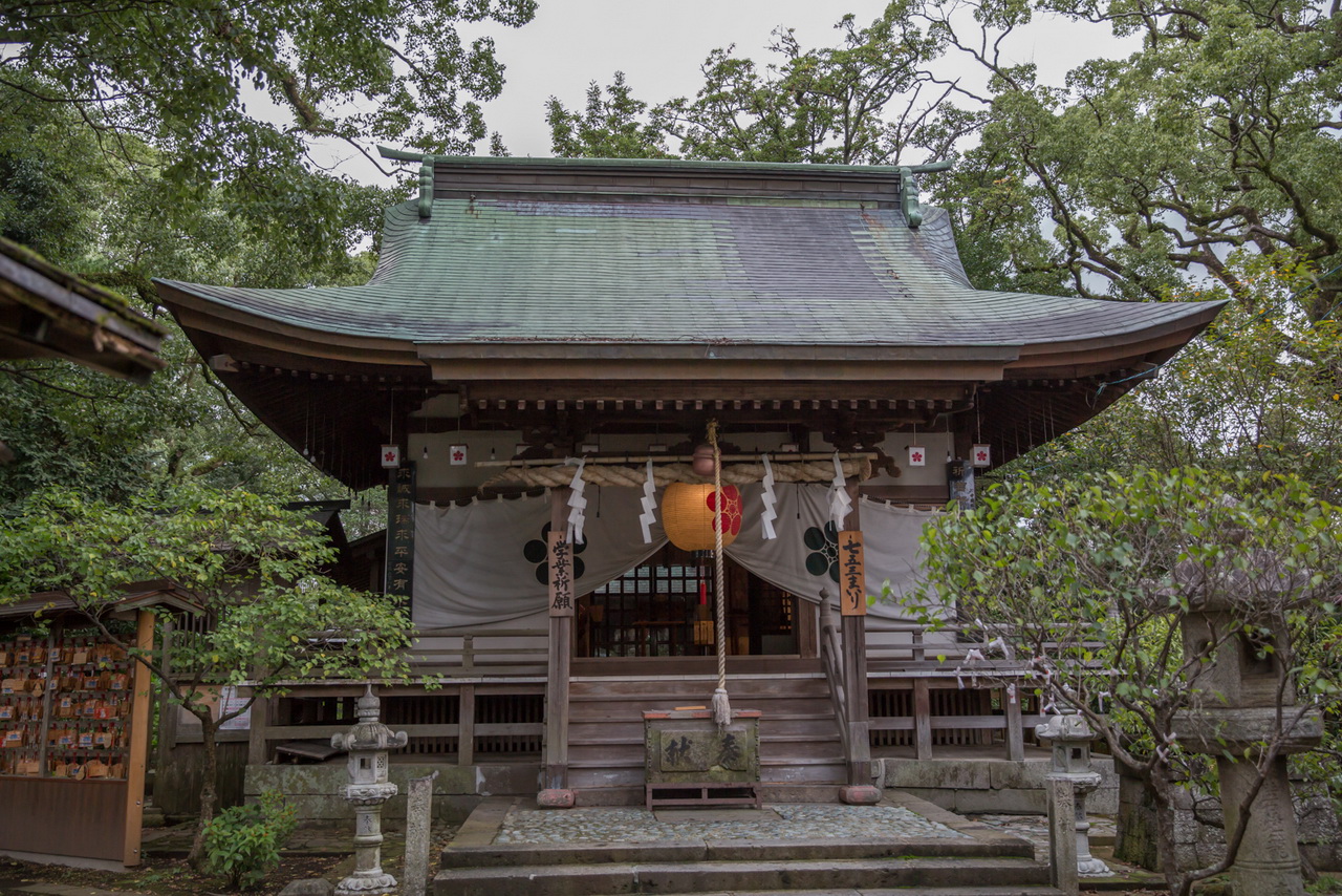 _J0A10819.jpg