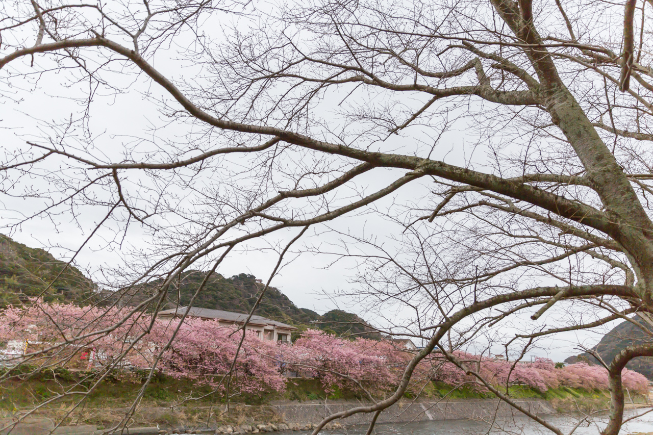 _J0A7998.jpg