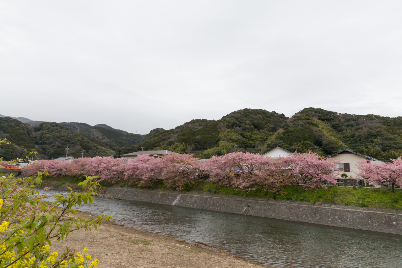 _J0A8028.jpg