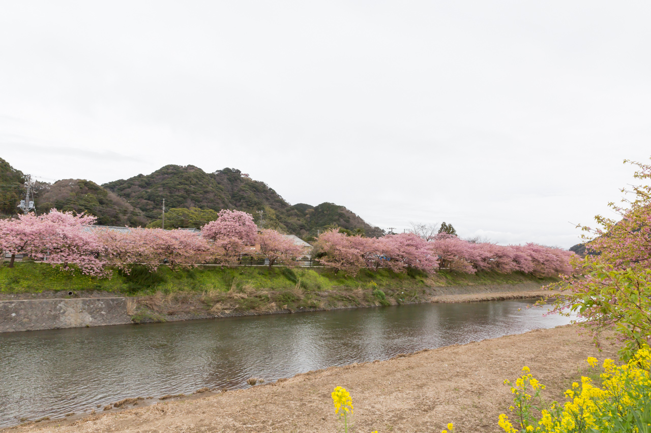 _J0A8025.jpg