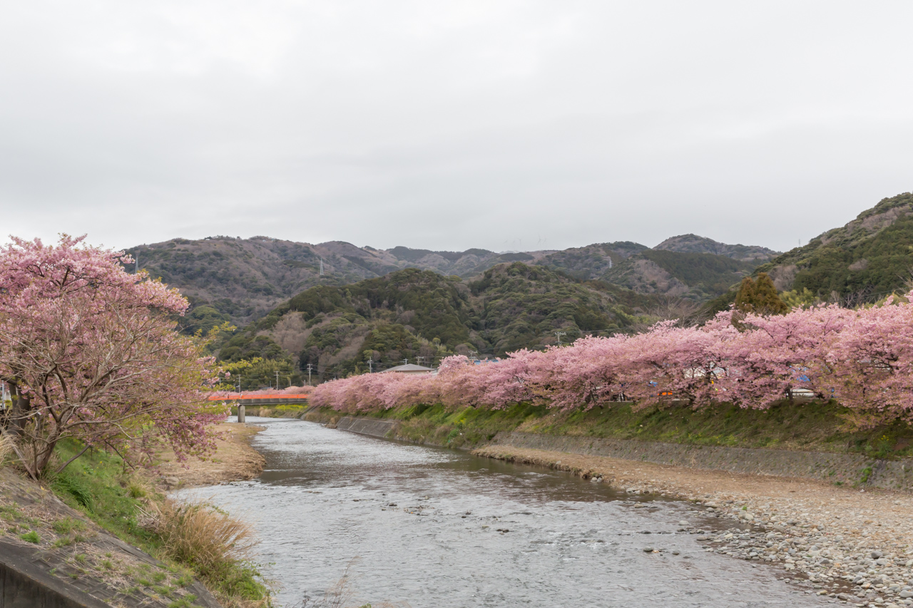 _J0A8063.jpg