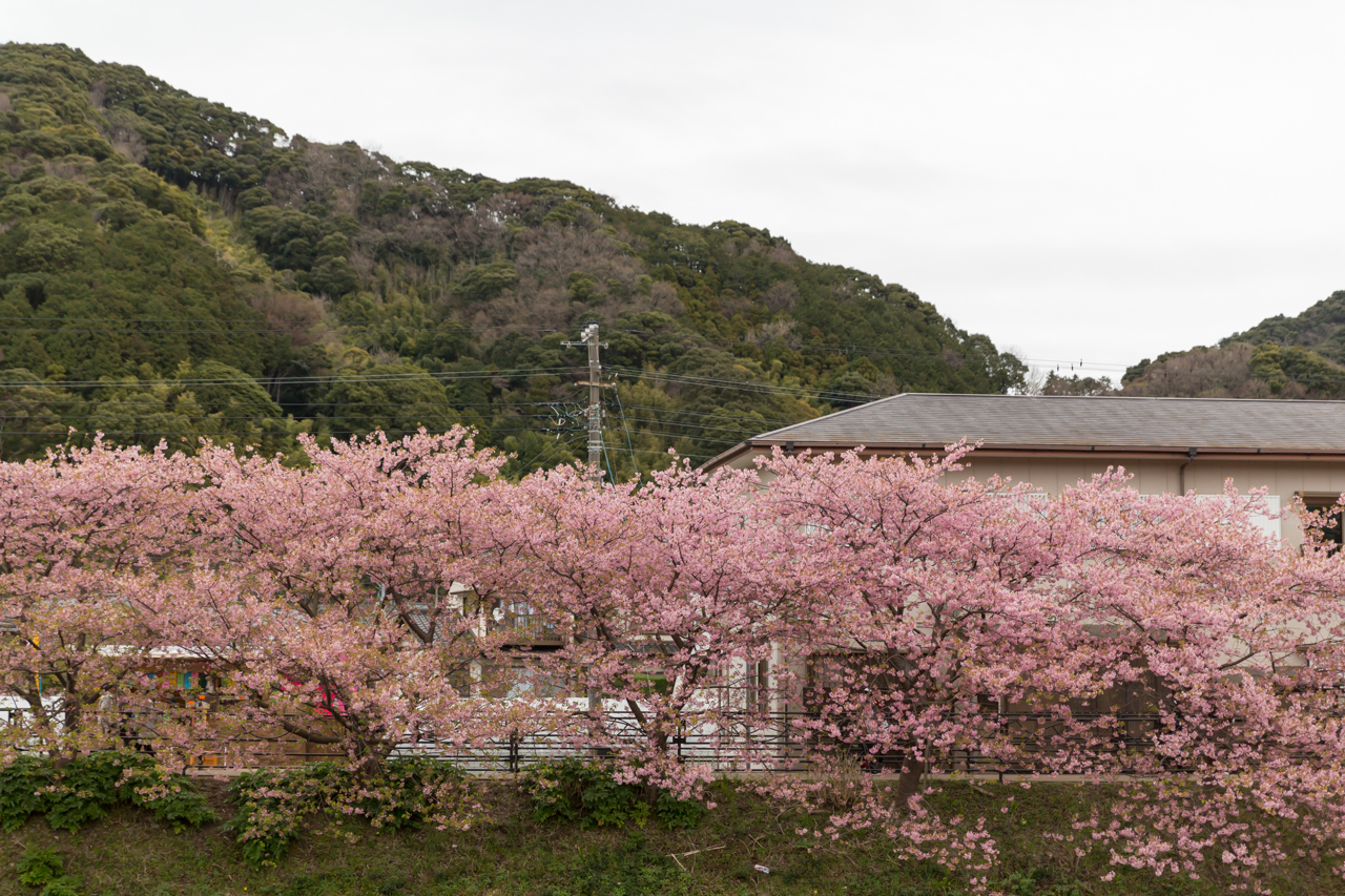 _J0A8010.jpg