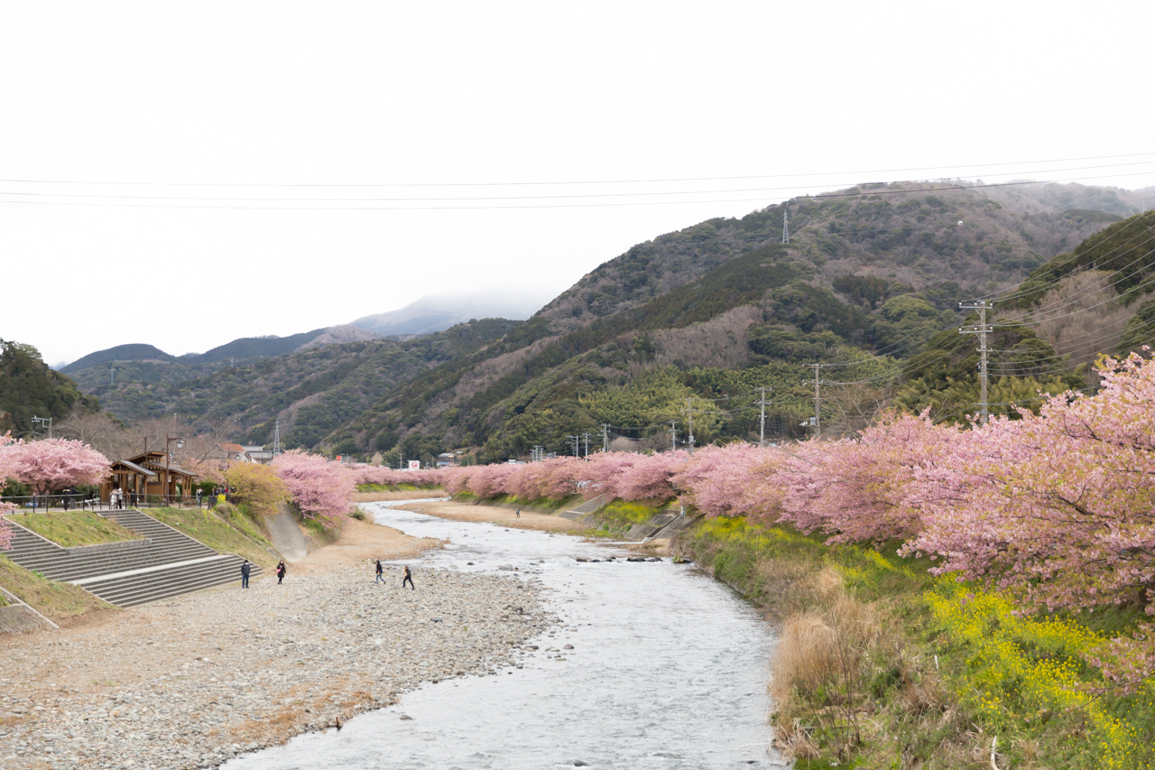 _J0A7989.jpg