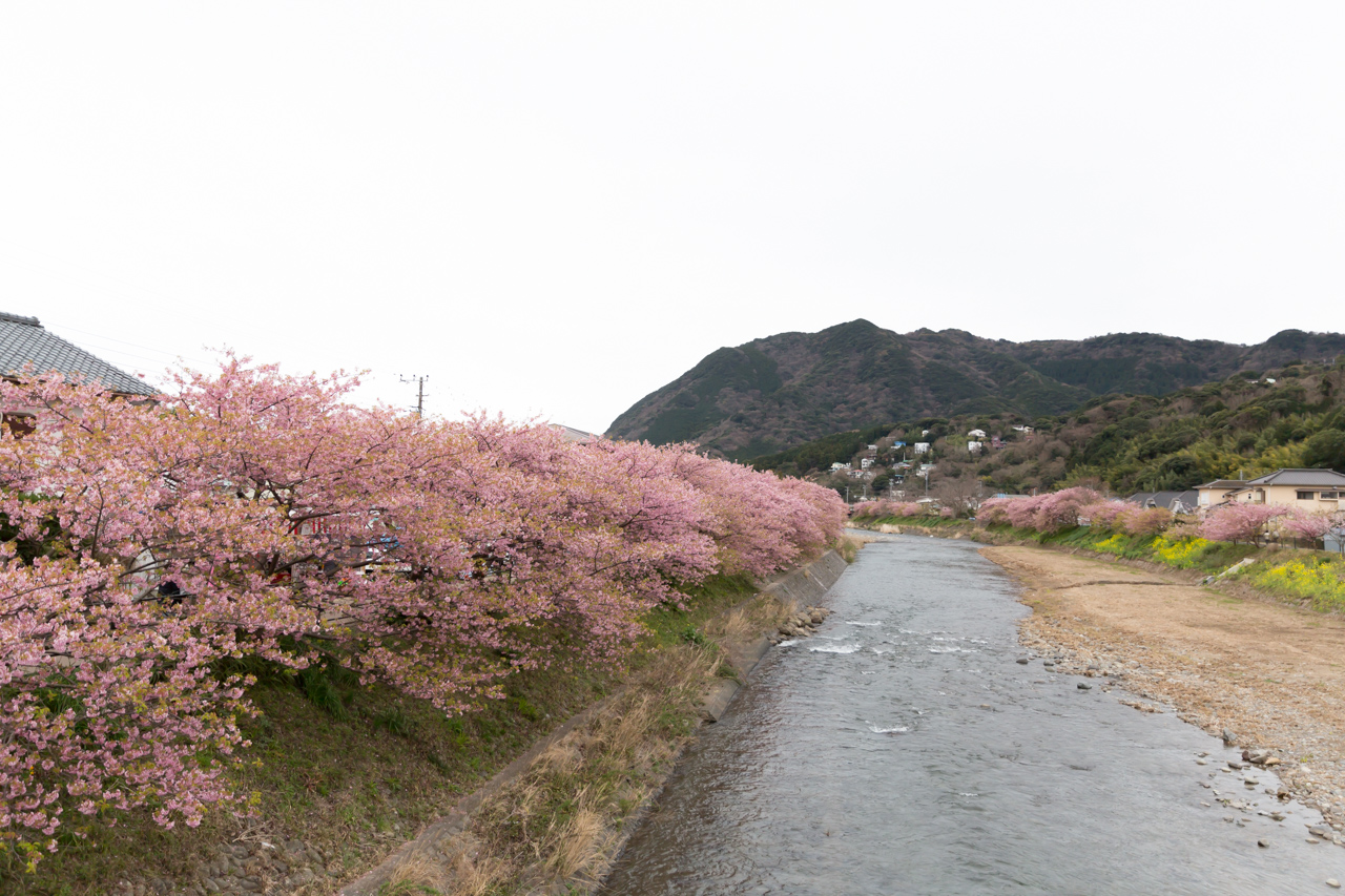_J0A7995.jpg
