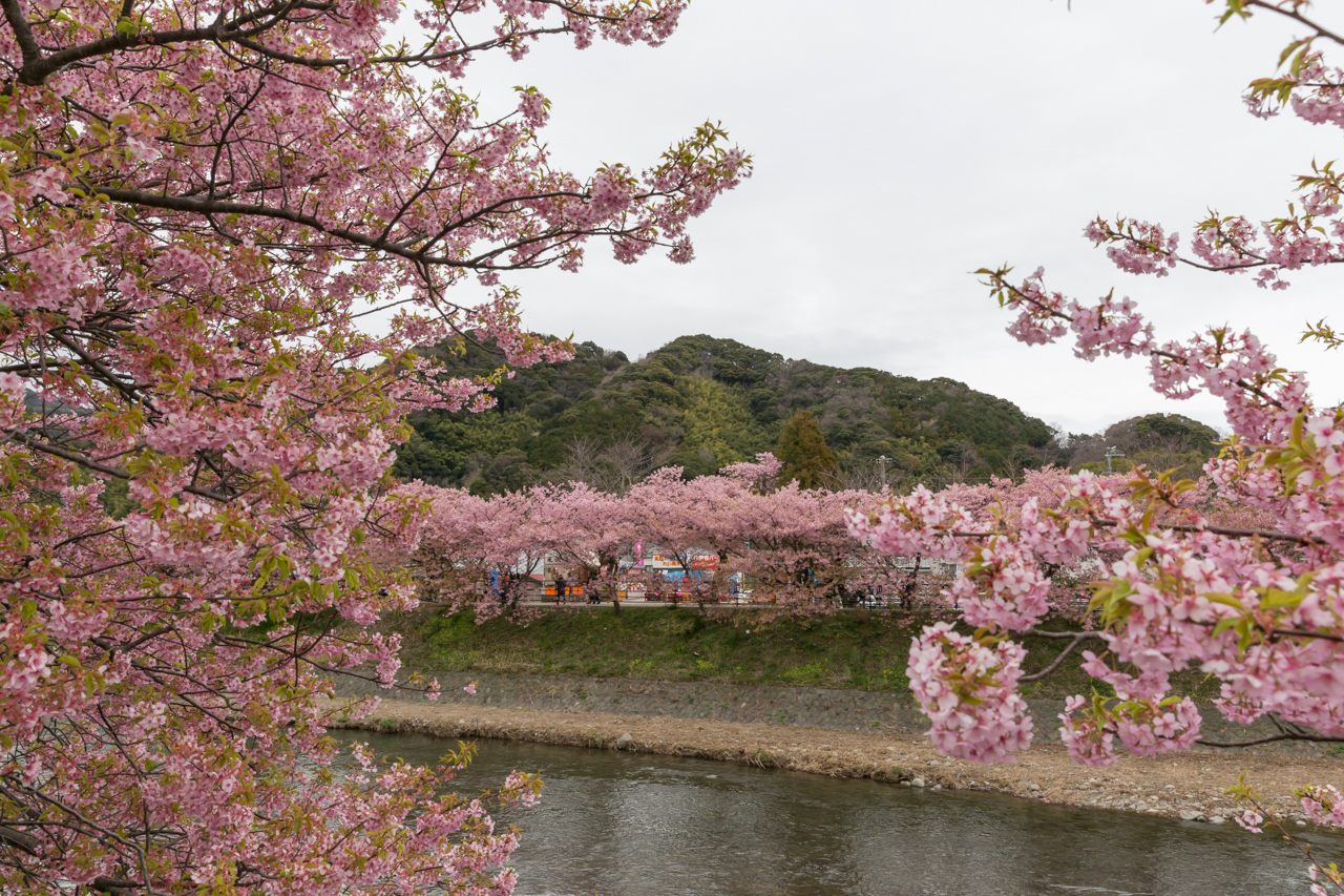 _J0A8049.jpg