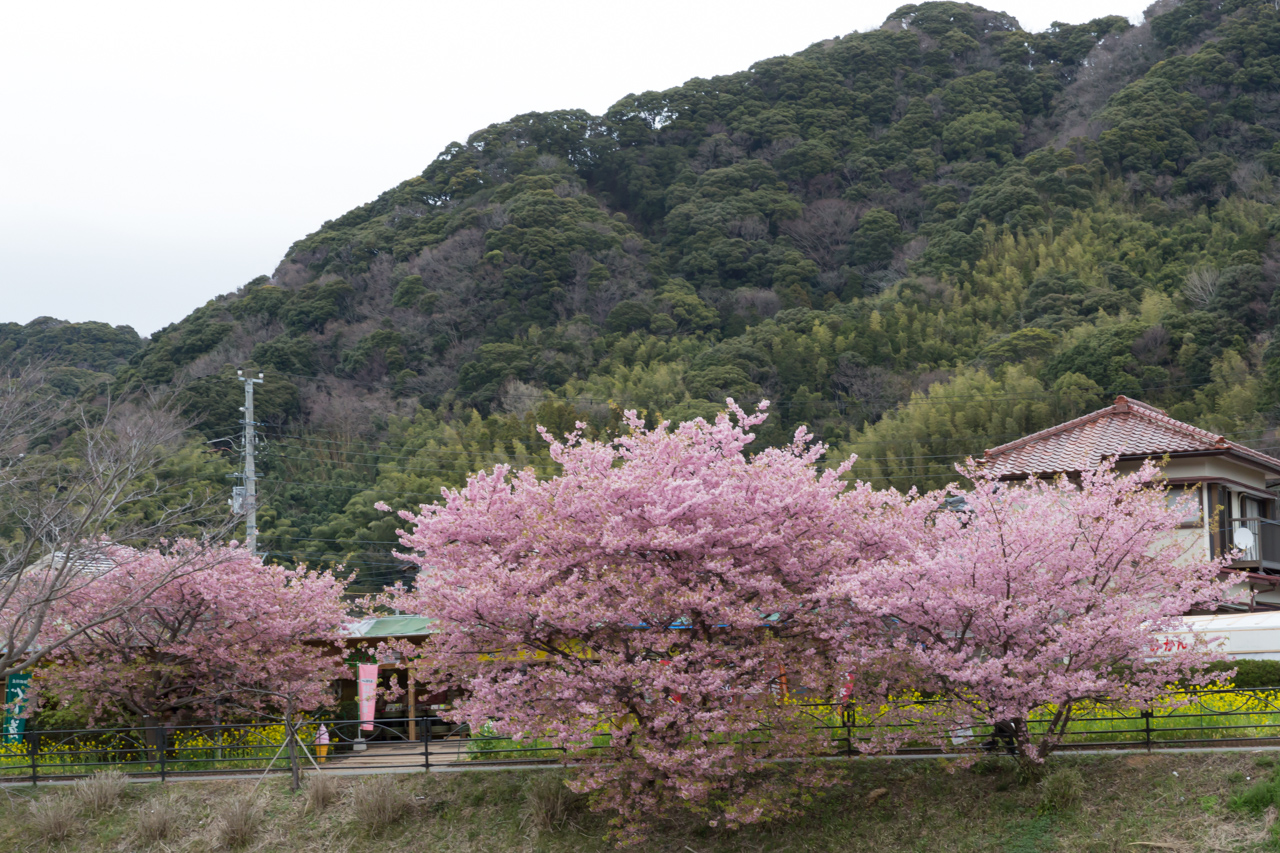 _J0A8091.jpg