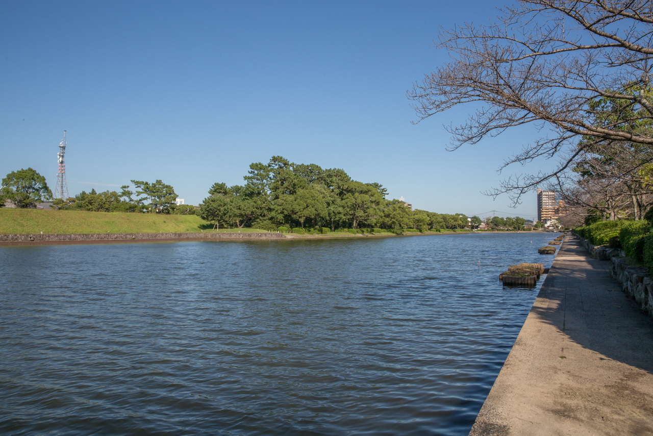 _J0A09537.jpg