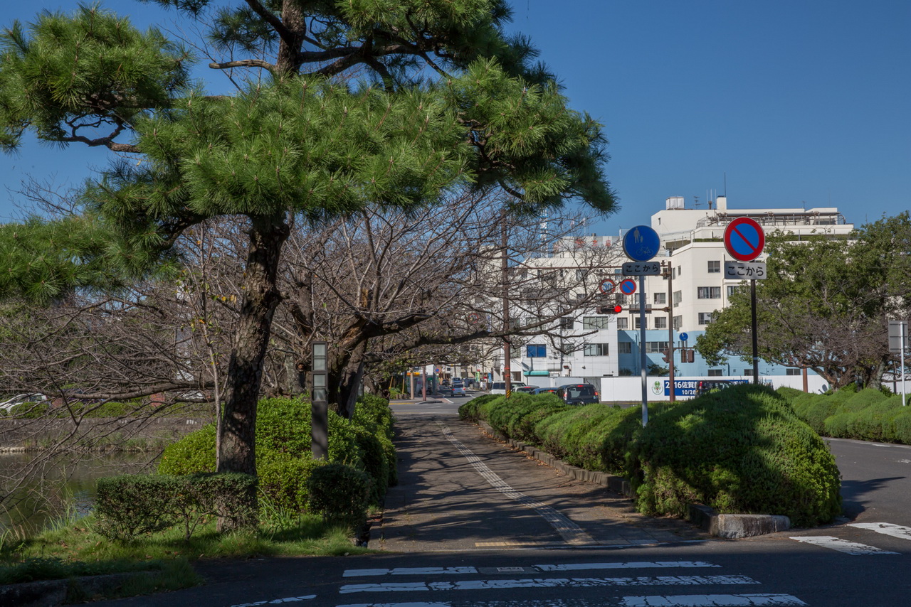 _J0A09441.jpg