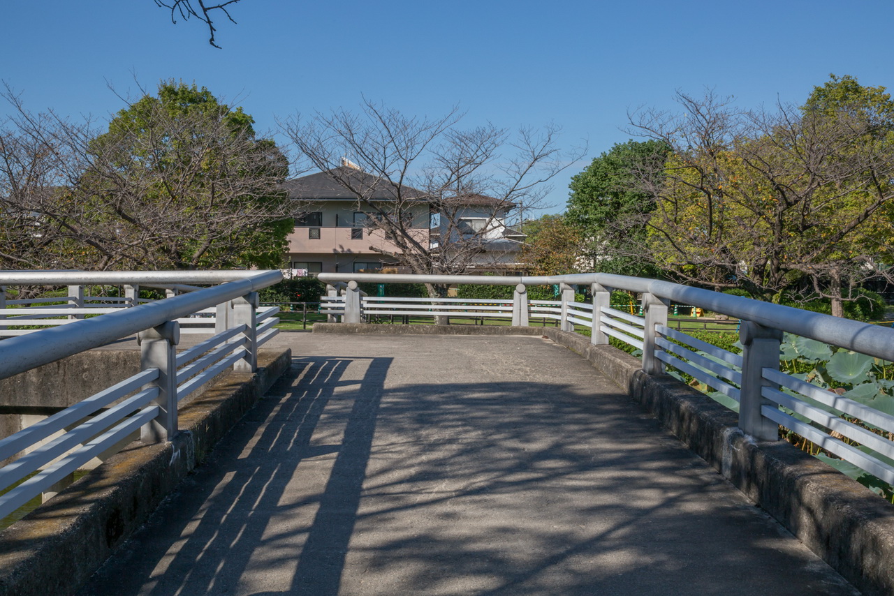 _J0A09516.jpg