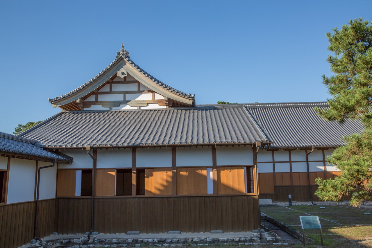 _J0A09600.jpg