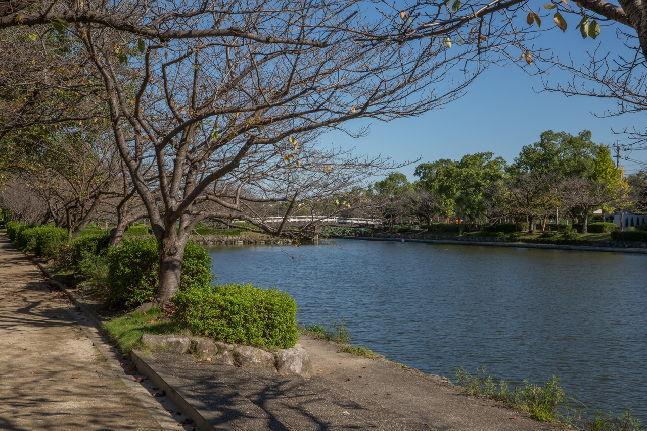 _J0A09474.jpg