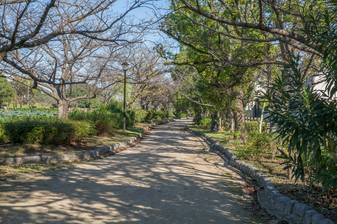 _J0A09525.jpg