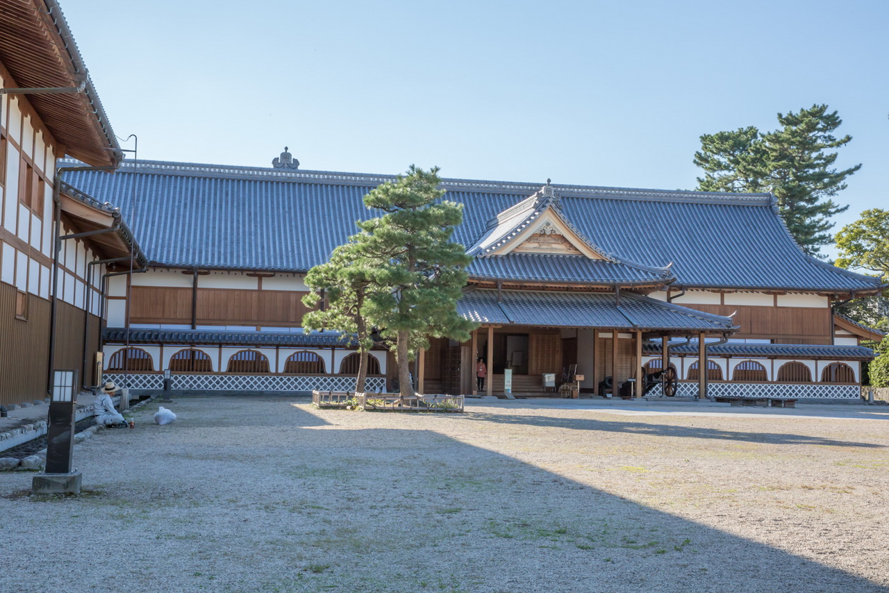 _J0A09558.jpg