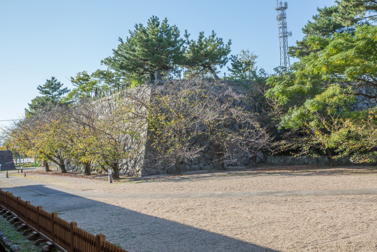 _J0A09576.jpg