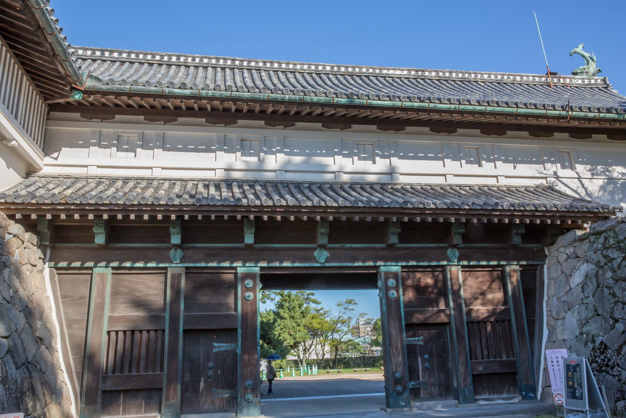 _J0A09567.jpg