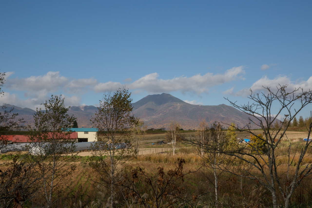 _J0A6653.jpg