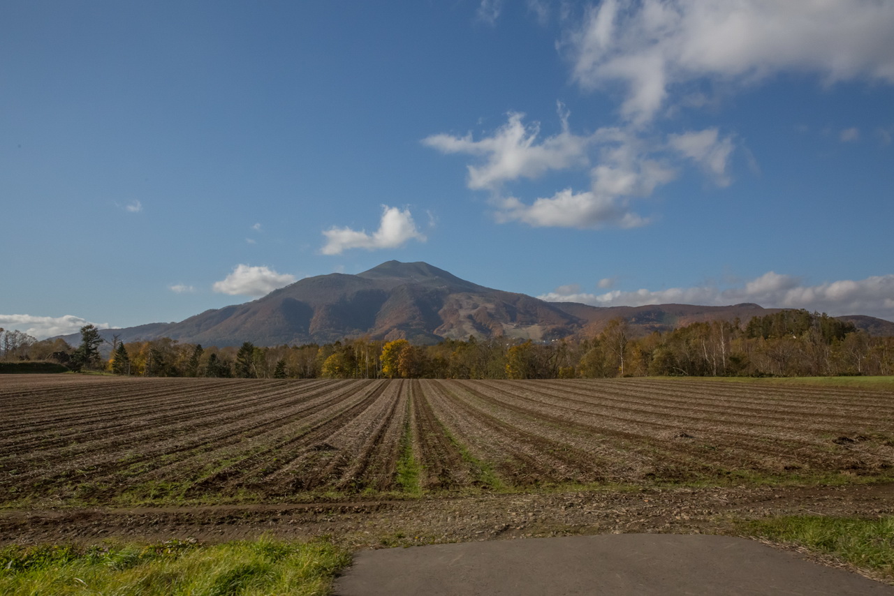 _J0A6724.jpg